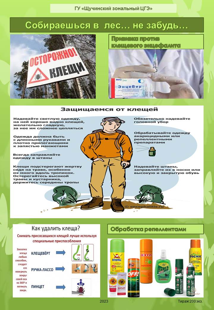 Собираешься в лес… не забудь