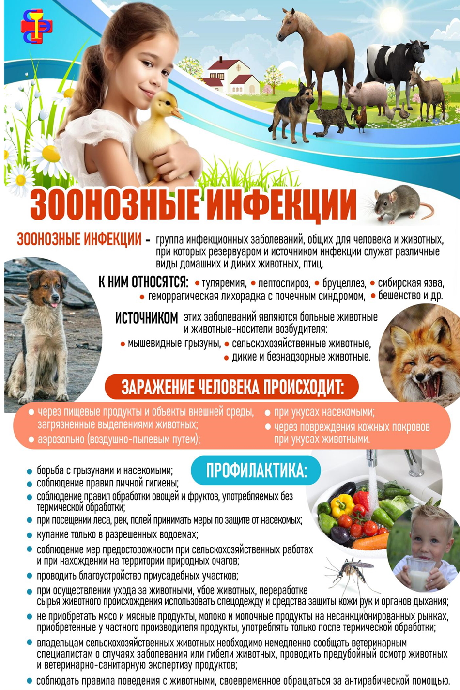 Зоонозные инфекции